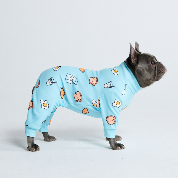 bulldog onesie for dogs