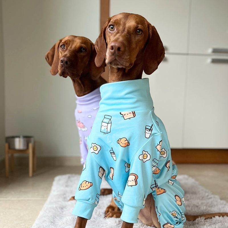 Dog Pajama Prints – SPARK PAWS