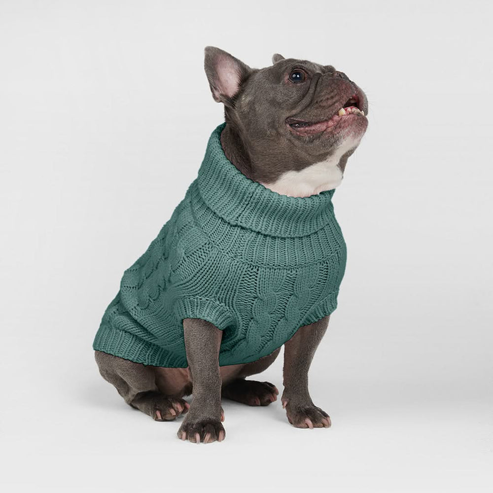 Cable Knit Dog Sweater Pine Green SPARK PAWS