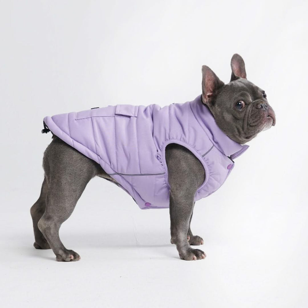 Shops warm dog coats australia