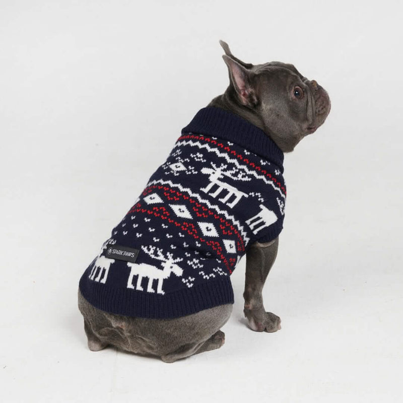 Dasher Blue Dog Sweater