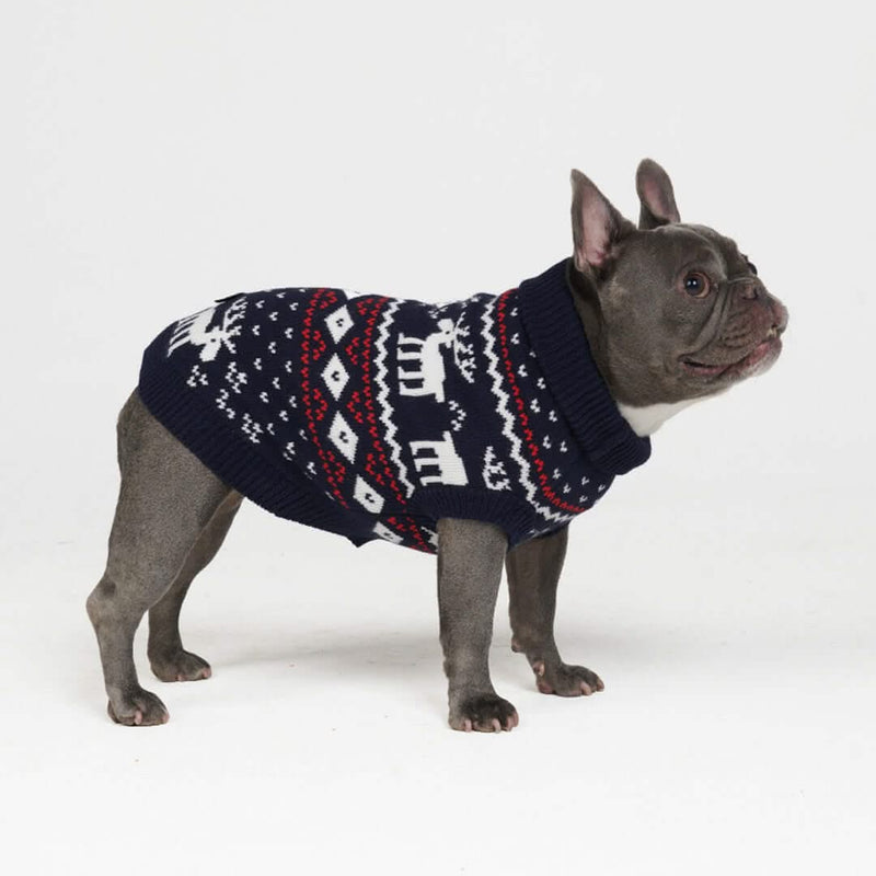 Dasher Blue Dog Sweater