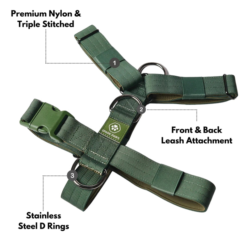 Comfort Control No-Pull Dog Harness - Green