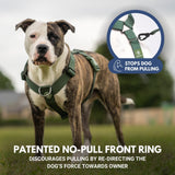 Comfort Control No-Pull Dog Harness - Green