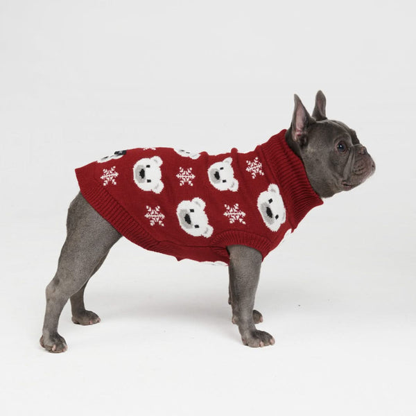 Bears discount dog sweater