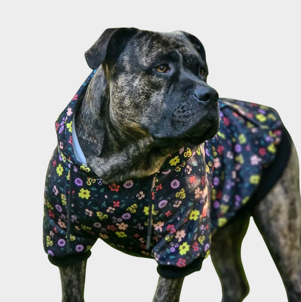 Vintage Flower Dog Hoodie - Black