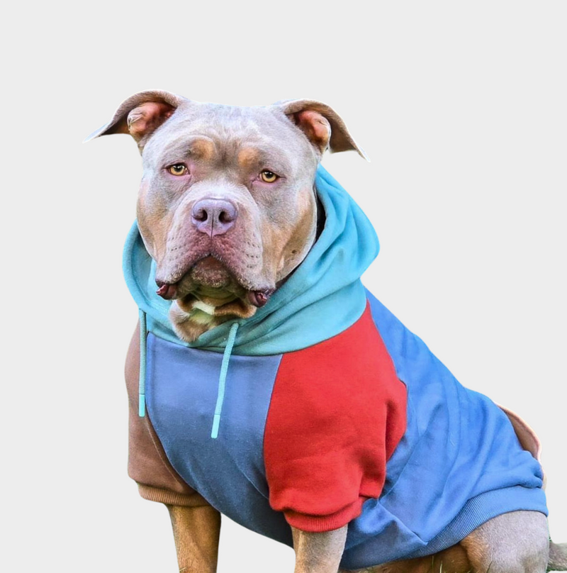 Dog Hoodies Sweatshirts Sweaters and Jumpers SPARK PAWS