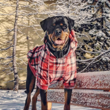 Red Plaid Hoodie