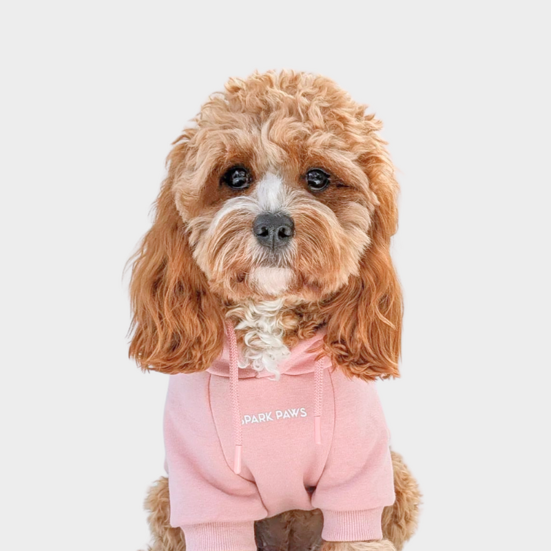 Essential Dog Hoodie - Dusty Pink