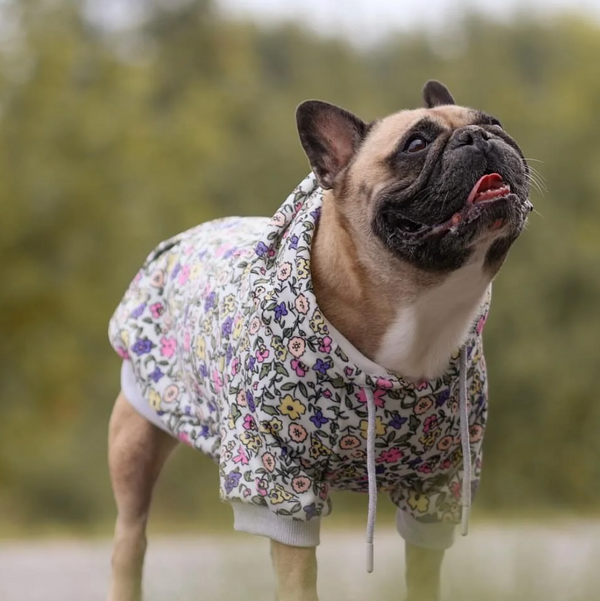 Hoodies for pugs best sale