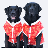 Lunar New Years Vest