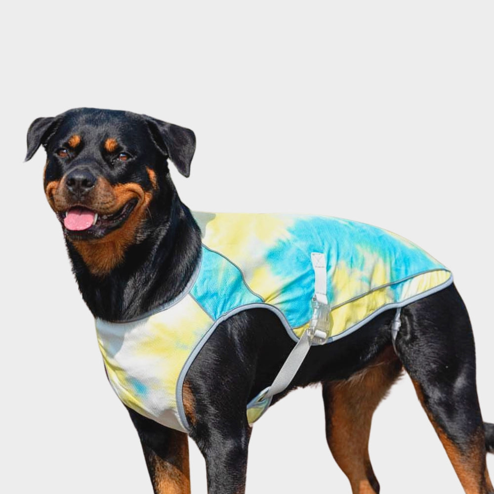 Spark Paws Dog Cooling Vest Tropical Storm