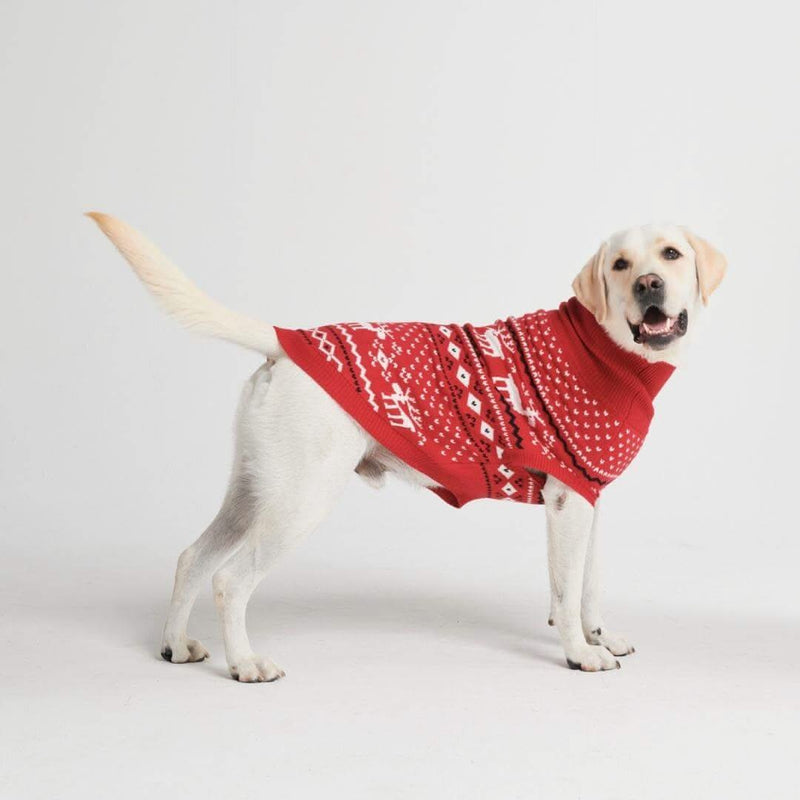 Dasher Red Dog Sweater