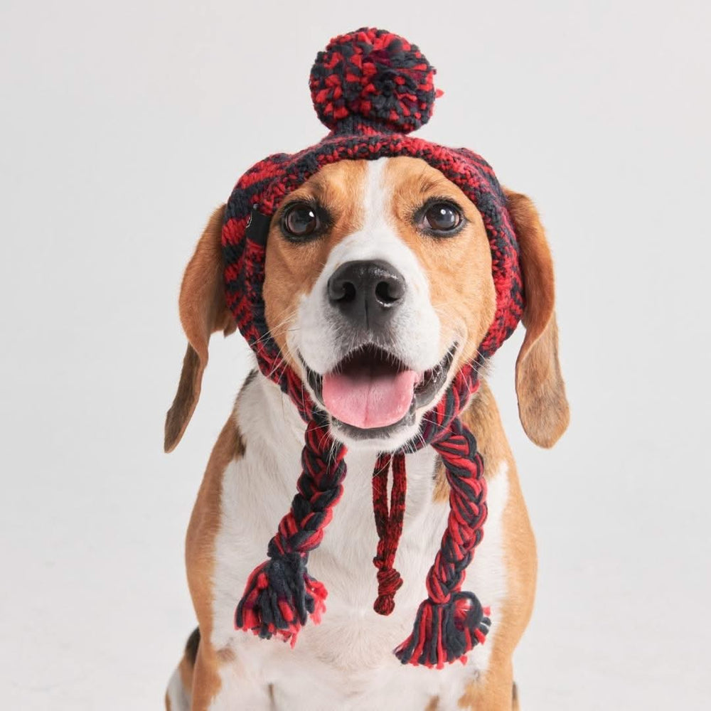 Dog fashion beanie