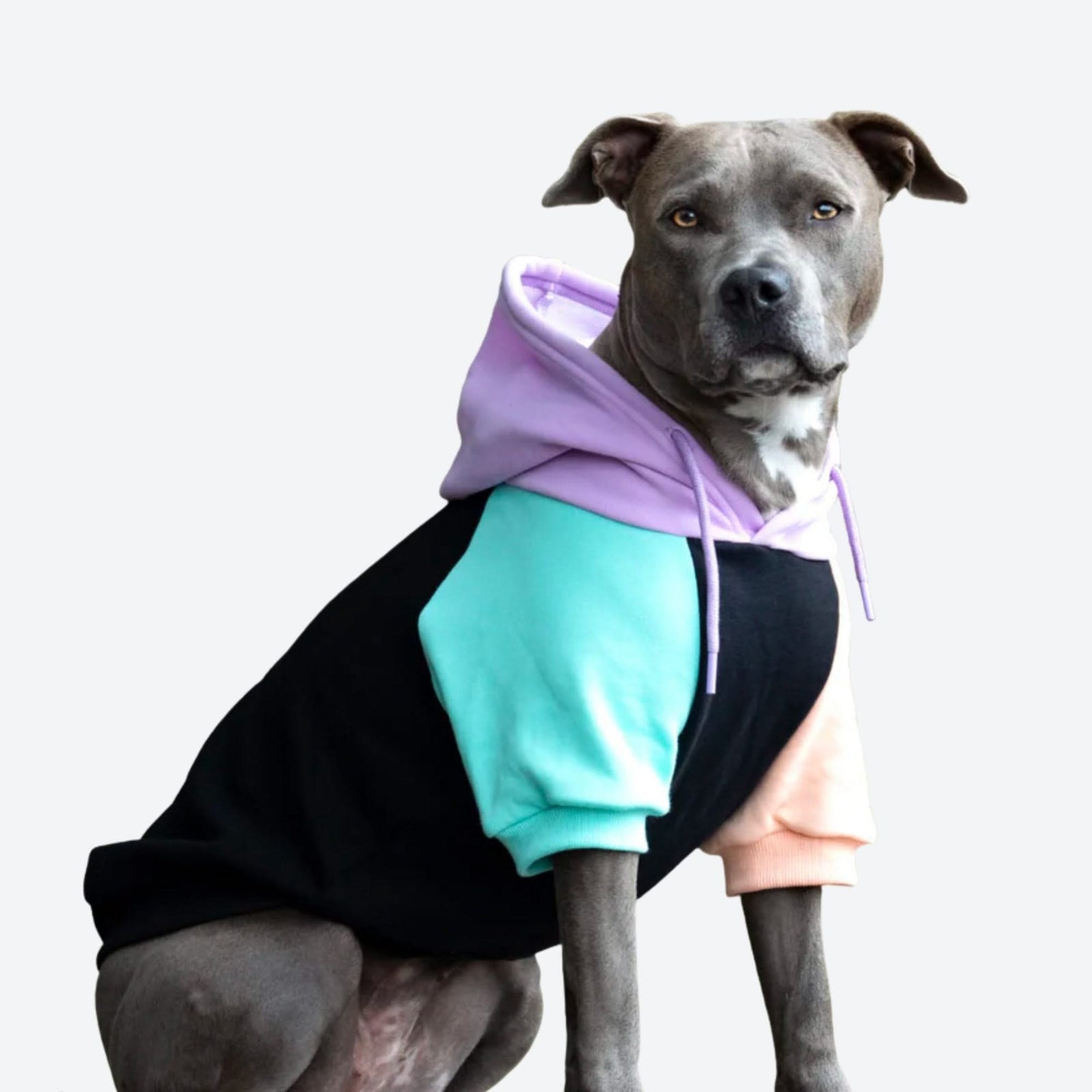 Color Block Dog Hoodies SPARK PAWS