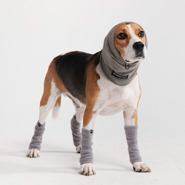 Dog on sale leg warmers