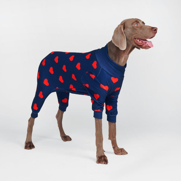 Walkee Paws Launches Doggie & Me Matching Leggings 