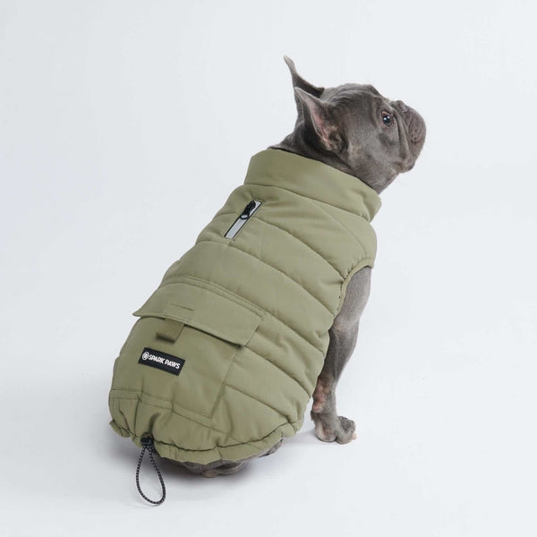 Spark Paws Premium Dog Clothing Walk Gear Shoes and More SPARK PAWS