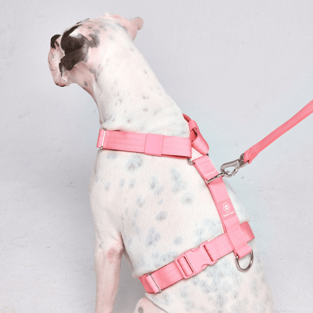 Comfort Control No-Pull Dog Harness - Pink – SPARK PAWS