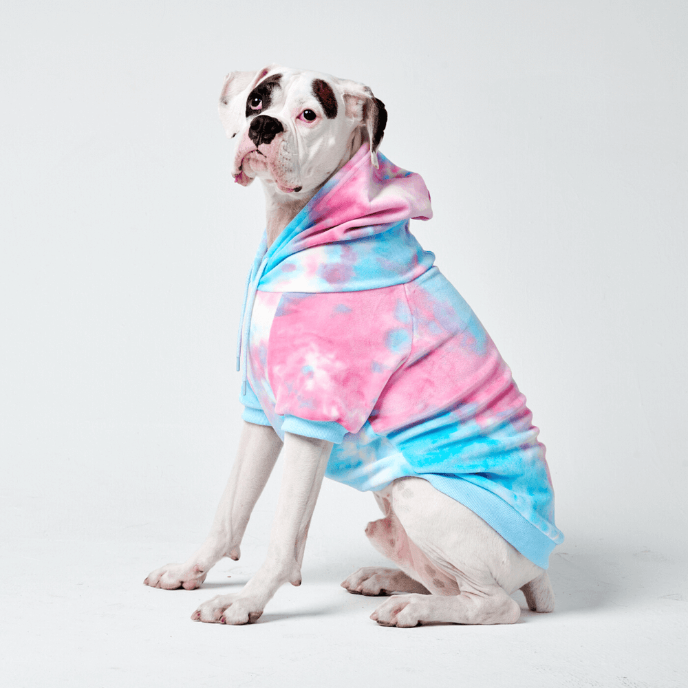 PINK VS CHECKERED RAINBOW BLING DOG TSHIRT HOODIE outlet L