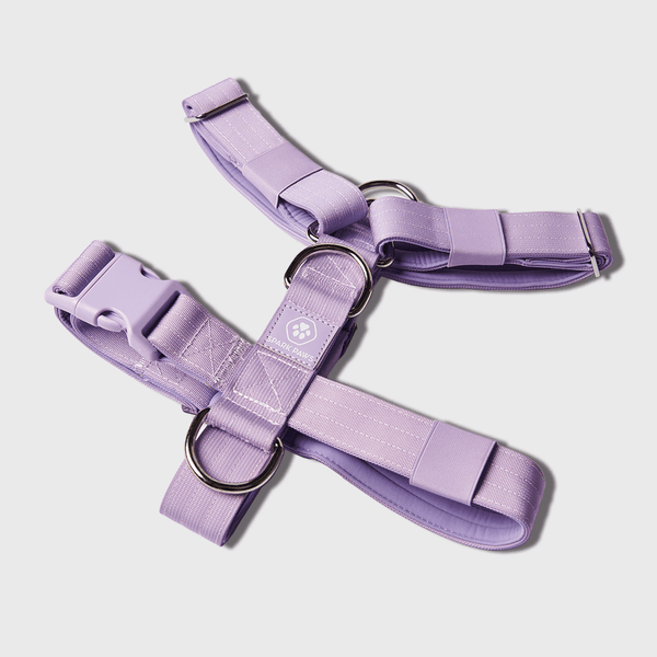 Dog Harness Nylon with Patches [H17##1037 Nylon harness with patches] :  Exclusive Dog Breed: Dog Harness, Muzzle, Collar, Leash, Dog Supplies