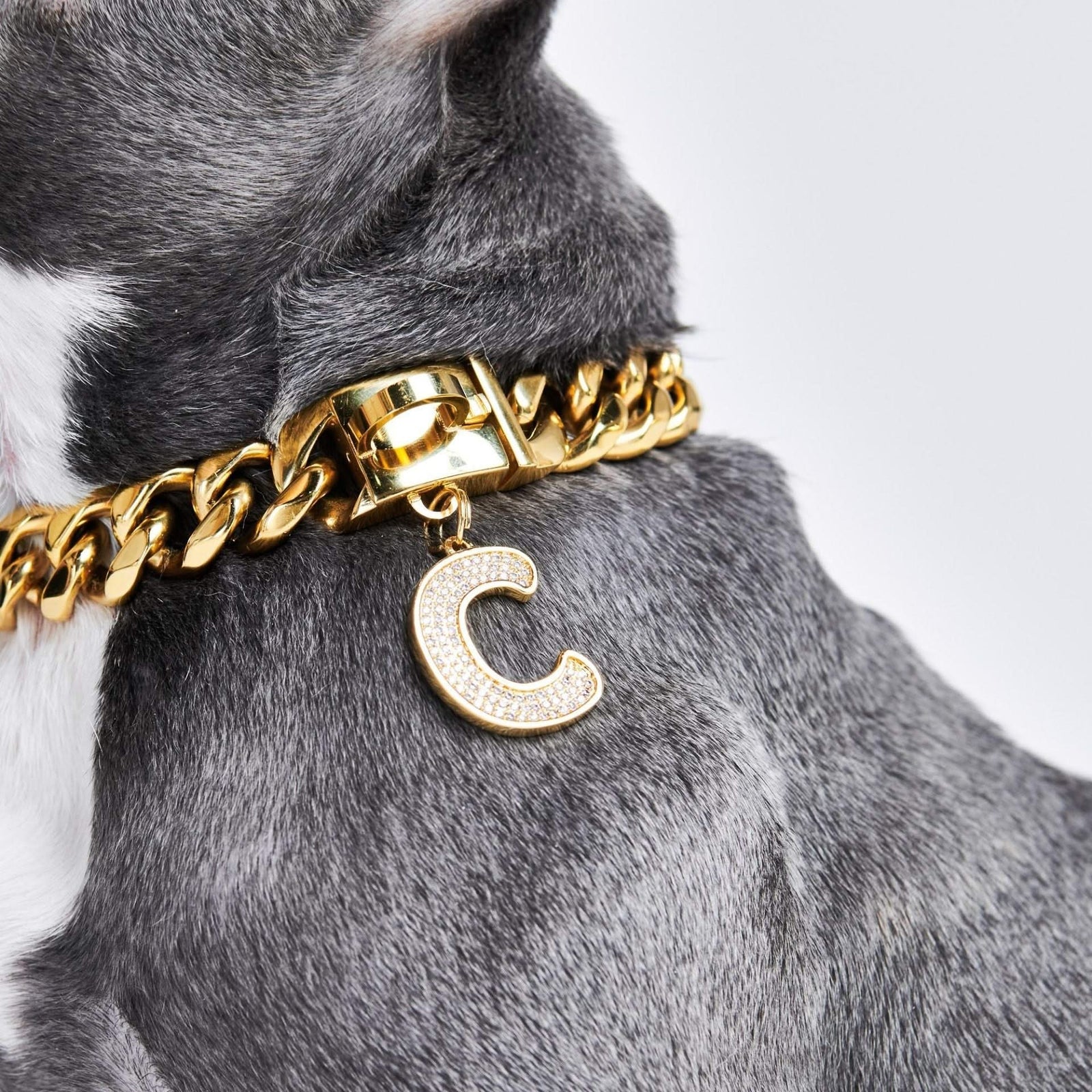 C collar for dogs best sale