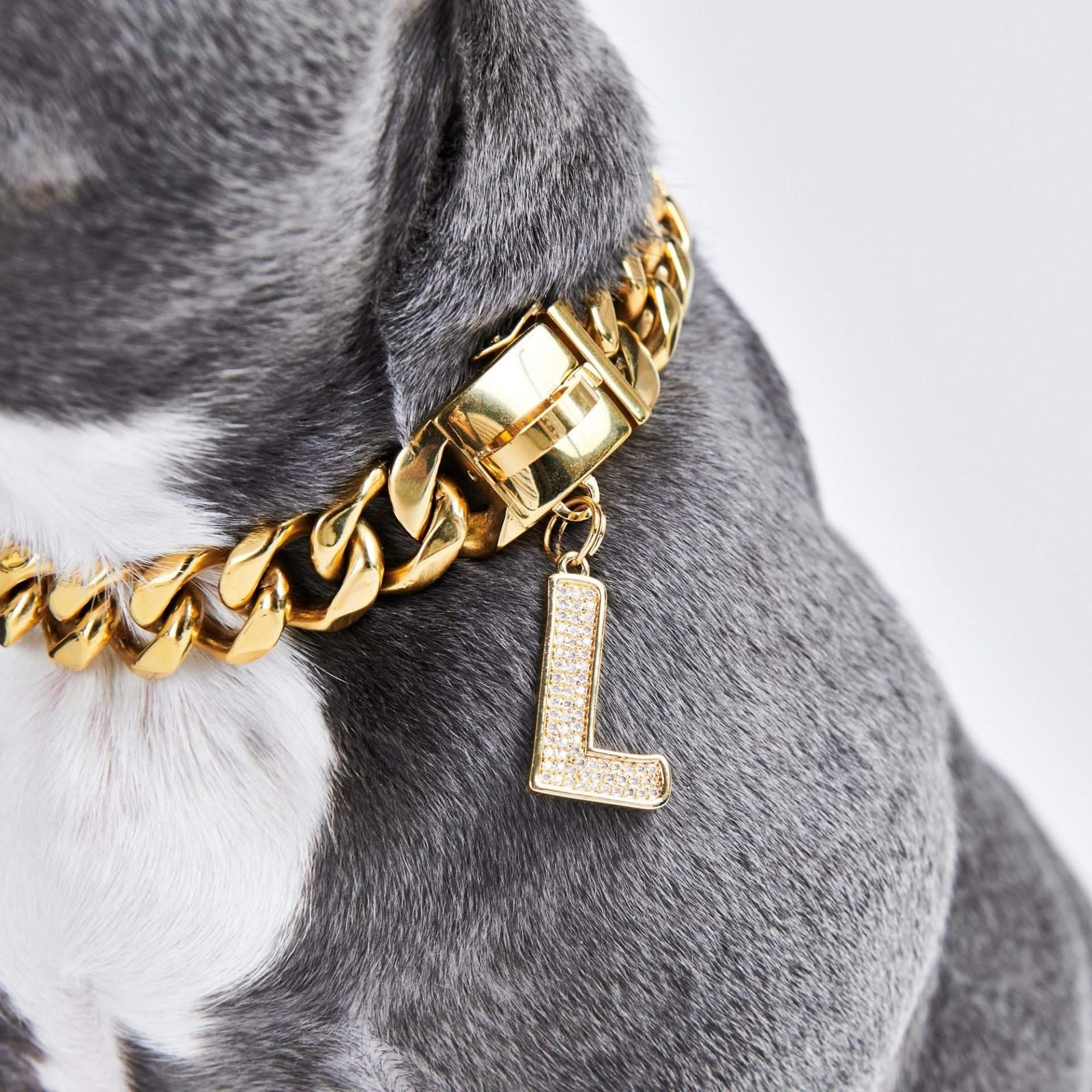 Small gold dog fashion collar