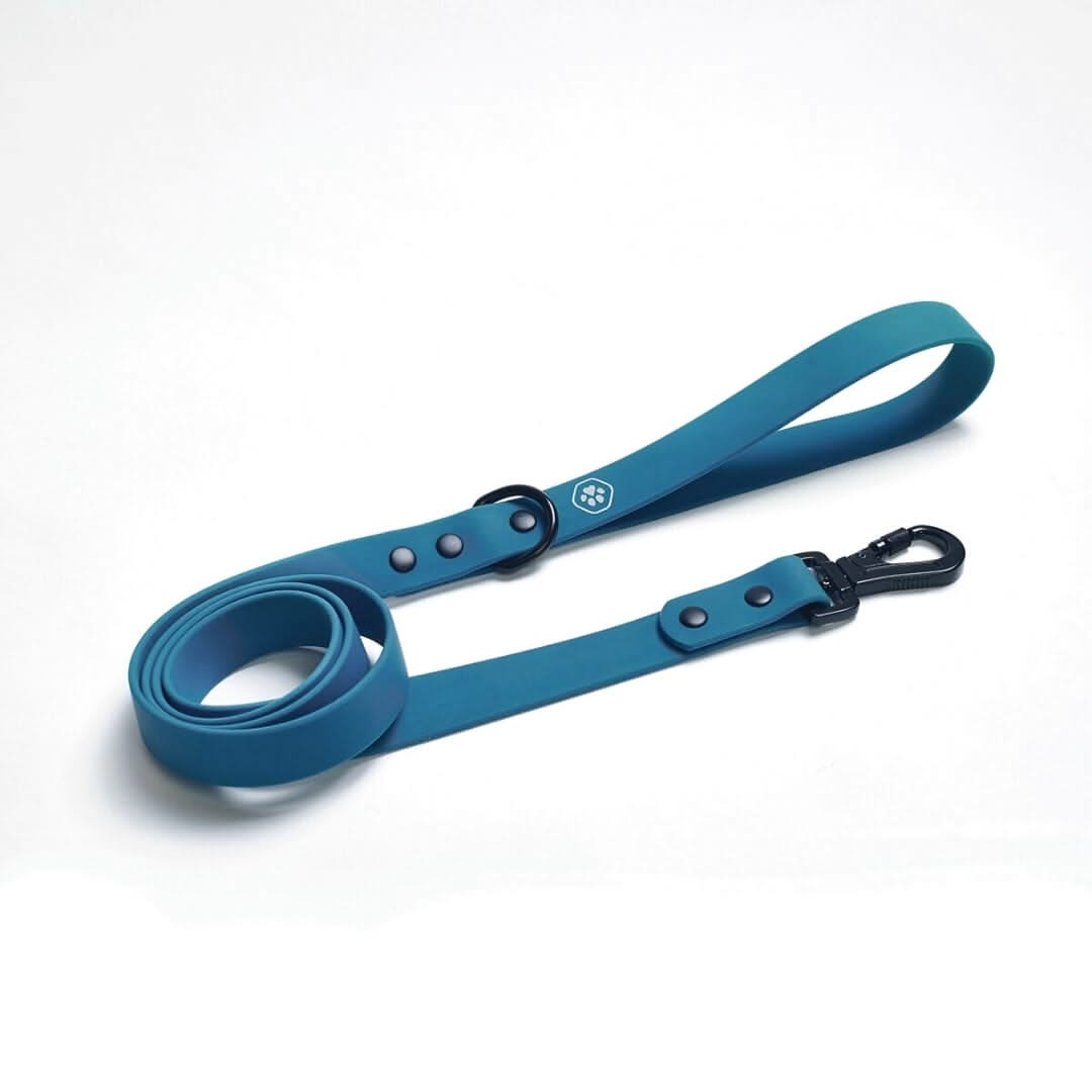 Waterproof PVC Dog Leash - Blue – SPARK PAWS