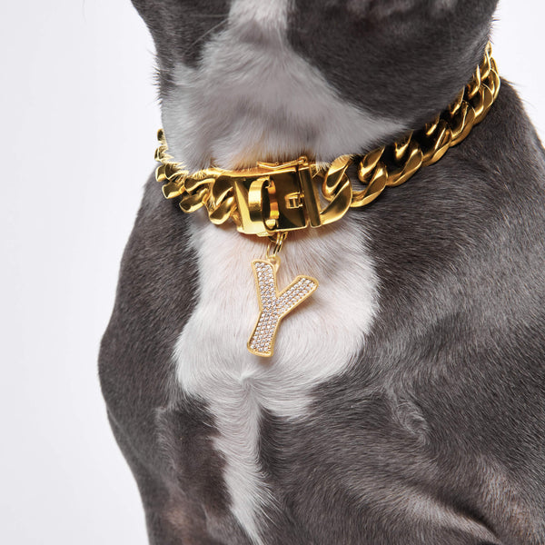 Gold Initial Letter Jewelry Tag for Dogs - R – SPARK PAWS