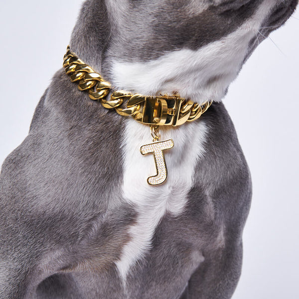 Gold Initial Letter Jewelry Tag for Dogs - B – SPARK PAWS