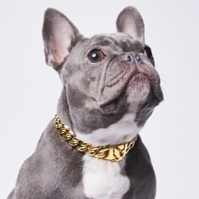 Gold Dog Chain Choke Collar,solid Cuban Link Strong, Heavy Duty Chew  Resistant With Design Secure Buckle And Blank Bone Shape Id Tag18in