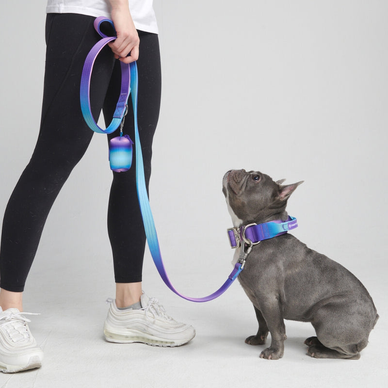 Tactical Dog Collar Set - Lilac (2/5cm) – SPARK PAWS