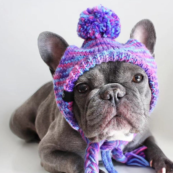 Dog Hat, Bear Dog Hat, Crochet Dog Hat, Knit Dog Hat, Dog Costume